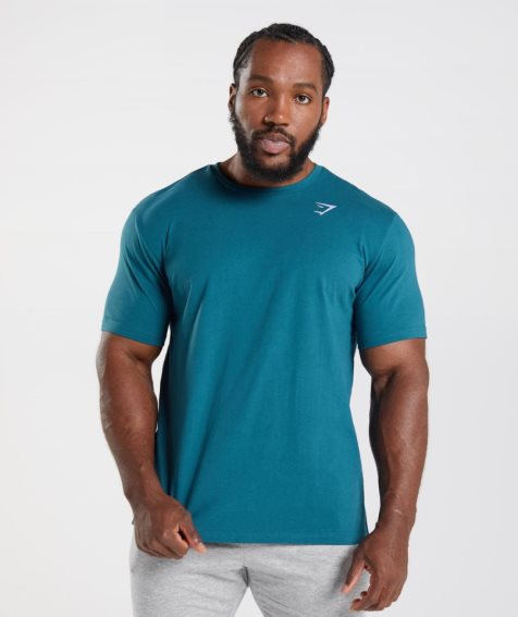 Men's Gymshark Crest T-Shirts Turquoise | CA 5D3N67